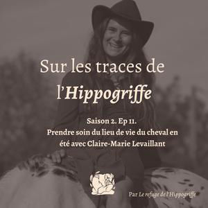 Saison 2. Ep.11 Prendre soin du lieu de vie du cheval en été avec Claire-Marie Levaillant (Equus Paradise)