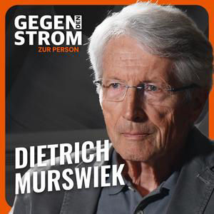 Prof. Dietrich Murswiek: Sanktionen gegen Journalisten – Höhlt die EU die Meinungsfreiheit aus?