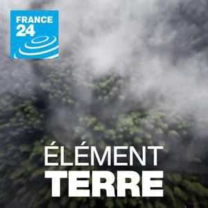 Canicules et sécheresse records: un été catastrophique en France et en Europe