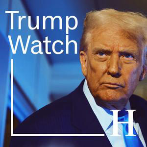 Der wahre Preis von Trumps Kanada-Zöllen