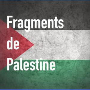Le choix de la lutte armée, les influences entre Liban et Palestine avec Walid Charara