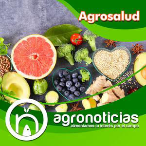 498 Alimentos probioticos