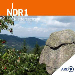 NDRfragt-Umfrage: VW in der Krise - und jetzt?