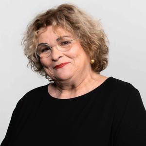 כותרות הבוקר 13 באוגוסט 2026