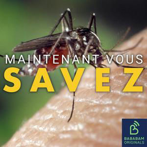 Pourquoi y a-t-il encore des moustiques en automne ?