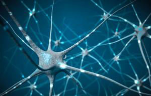 Warum Nervenzellen krank werden – Forschung zu Alzheimer, ALS und Zelltransport
