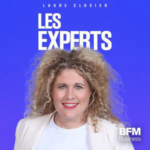 Les Experts : Medef, l'enjeu de la capitalisation dans le privé - 27/08