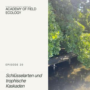 Episode 20 – Schlüsselarten und trophische Kaskaden