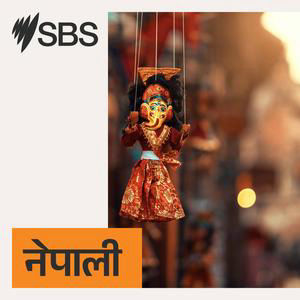Australian News Update: Wednesday, 19 August 2026 - आजका प्रमुख समाचार: बुधवार, १९ अगस्ट २०२६