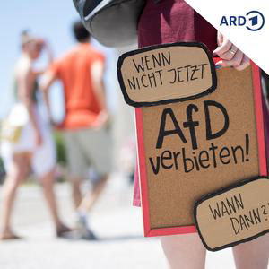 Anhörung in Thüringen: Wie realistisch ist ein AfD-Verbot?