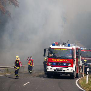 Waldbrand: Wie koordiniert der Kreis Düren die Hilfe?