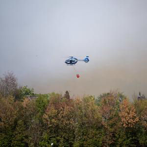 Waldbrand: Ist die Eifel auf Katastrophen vorbereitet?
