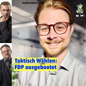 Stimmenraub: Manipulierte Empfehlung vor dem Urnengang | Gast Maximilian Frey FDP
