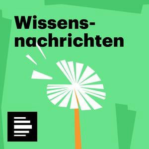 Katastrophe, Insekten-Sound, Badeseen, Unterhosen