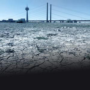 Dürre, Brände, Hitzetote: Weckruf für die Klimapolitik?