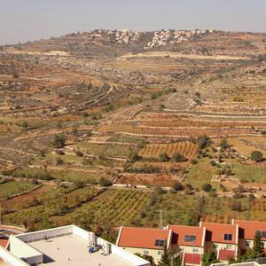 המאחז שפונה עשרות פעמים מעכב סלילת דרך ביטחונית לכוחות צה"ל