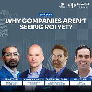The AI Productivity J-Curve: Why Companies Aren’t Seeing ROI Yet | Chief AI Officer Podcast