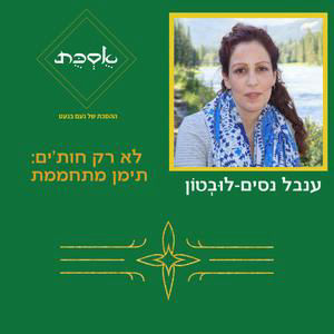 לא רק חות'ים: תימן מתחממת - פרק 110 עם ענבל נסים לובטון