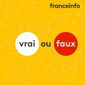 Vrai ou faux. Y a-t-il du racisme "dans tous les partis" politiques, comme l'affirme le RN Louis Aliot ?