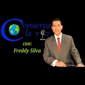 EPISODIO 367