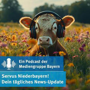 Anklage nach Passauer Verfolgungsjagd - Niederbayern-News vom 04. August 2026