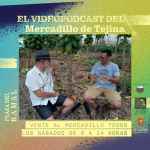 Entrevista a Javier Requena | Nuevos Videopodcasts del Mercadillo del Agricultor de Tejina 🌱