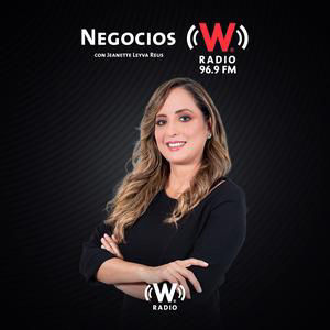 Negocios W | ¿Están las empresas de IA "jugando con fuego"?Con Luis G y G