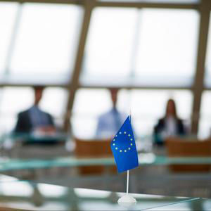 Europa Abierta - En Los Márgenes: Ratas en Bruselas