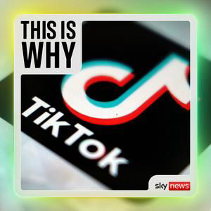 Why can't TikTok just get rid of dangerous driving content?