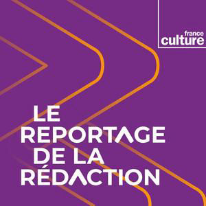 Salaires : l'entreprise Alan ou la transparence radicale